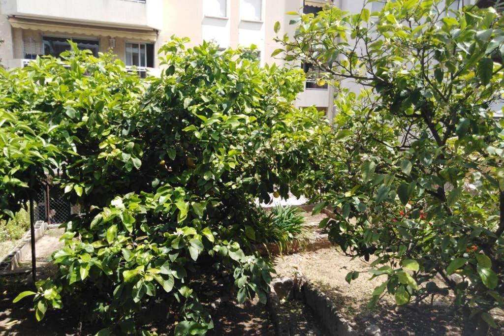 Moneghetti Apartment โบโซเลย ภายนอก รูปภาพ
